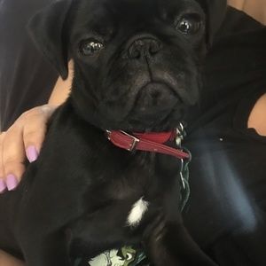 Meet your Posher, Amy